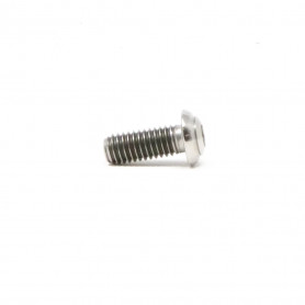 Vis à Tête Bombée Plate en Titane M6 x (1.00mm) x 15mm - DIN 7380